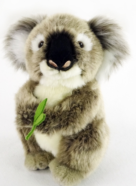 Koala 16 cm